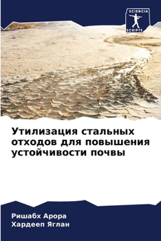 Paperback Утилизация стальных отх& [Russian] Book