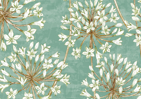 Gift Allium Blossoms Note Cards (14 Cards, 15 Self-Sealing Envelopes) Book