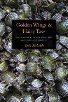Hardcover Golden Wings & Hairy Toes: Encounters with New England's Most Imperiled Wildlife Book
