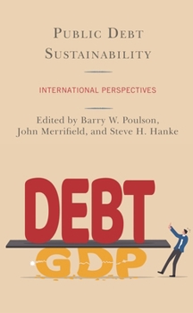 Paperback Public Debt Sustainability: International Perspectives Book