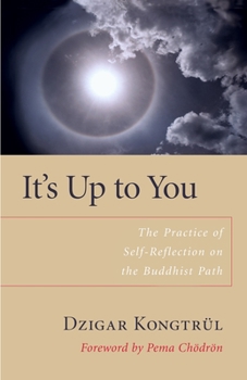 Paperback It's Up to You: The Practice of Self-Reflection on the Buddhist Path Book
