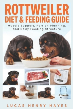 Rottweiler Diet & Feeding Guide: Muscle Support, Portion Planning, and Daily Feeding Structure