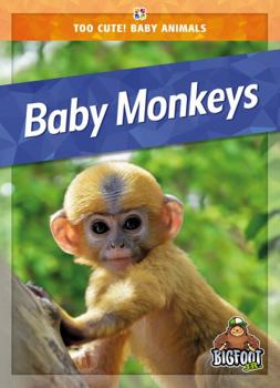 Library Binding Baby Monkeys Book