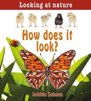 Paperback How Does It Look? Book