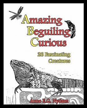 Paperback Amazing, Beguiling, Curious: 26 Fascinating Creatures Book