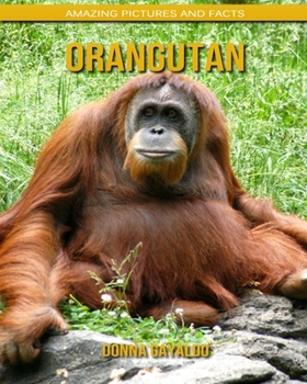 Paperback Orangutan: Amazing Pictures and Facts Book
