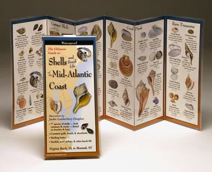 Paperback Shells of the Mid-Atlantic Coast Book