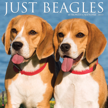 Calendar Just Beagles 2023 Wall Calendar Book