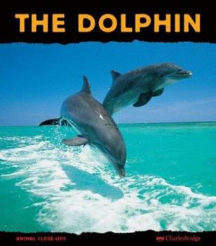 The Dolphin: Prince of the Waves (Animal Close-Ups) (Animal Close-Ups) - Book  of the Animal Close-Ups