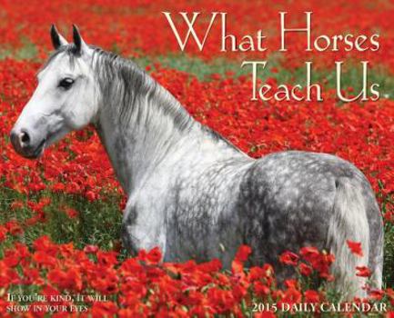 Calendar What Horses Teach Us 2015 Calendar Book