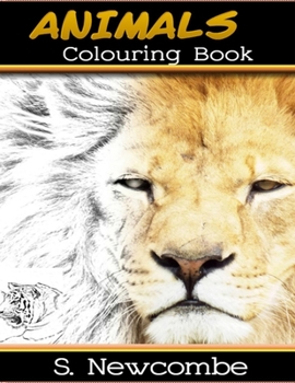 Paperback Animals: Colouring Book