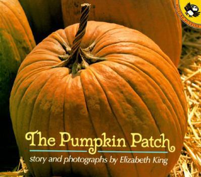 Paperback The Pumpkin Patch Book