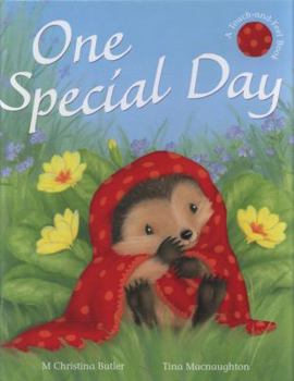 One Special Day - Book #4 of the Little Hedgehog