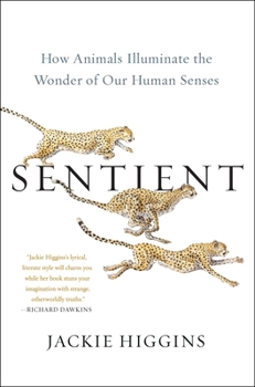 Hardcover Sentient: How Animals Illuminate the Wonder of Our Human Senses Book