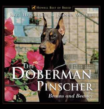 Hardcover The Doberman Pinscher: Brains and Beauty Book