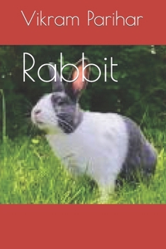 Paperback Rabbit Book