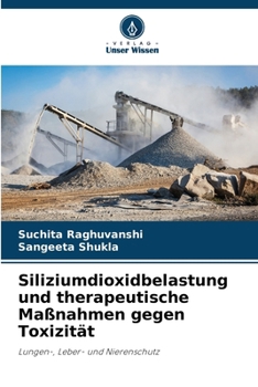 Siliziumdioxidbelastung und therapeutische Maßnahmen gegen Toxizität (German Edition)