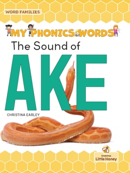 Library Binding The Sound of Ake Book