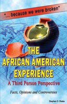 Paperback The African American Experience: A Third Person Perspective Book