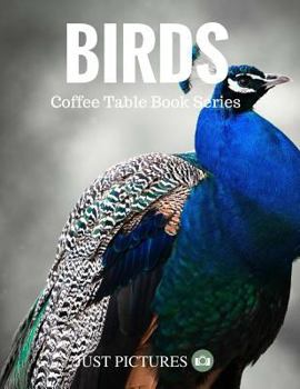 Paperback Birds: Coffee Table Book Series Book