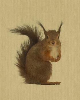 Paperback Squirrel: Artified Pets Squirrel Journal/Notebook/Diary Book