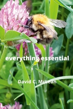 Paperback everything essential Book