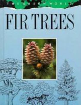 Hardcover Fir Trees Book