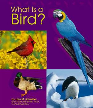 Paperback What Is a Bird? Book