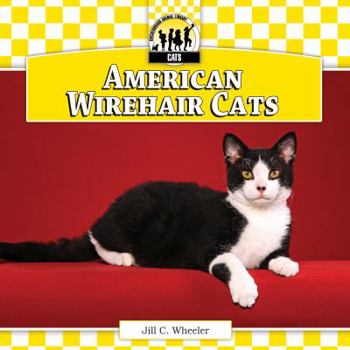 American Wirehair Cats - Book  of the Cats