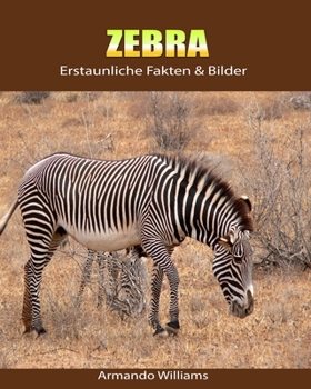 Paperback Zebra: Erstaunliche Fakten & Bilder [German] Book