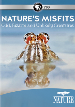 DVD Nature: Nature's Misfits Book