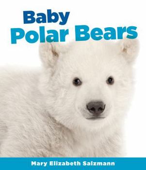 Library Binding Baby Polar Bears Book