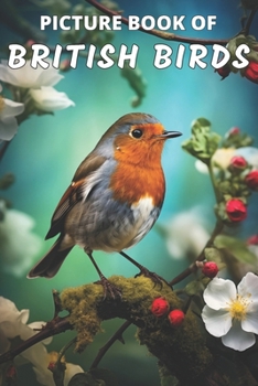 Paperback Picture Book of British Birds: Colorful Extra-Large Print Bird Pictures with Names A Gift/Present Book for Alzheimer's Patients and Seniors with Deme Book