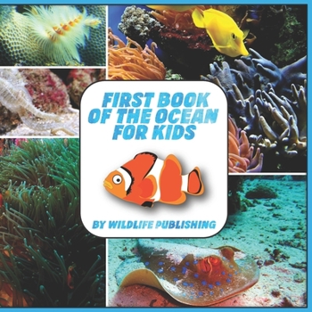 Paperback First Book Of The Ocean For Kids: Ocean Animals Activity Book