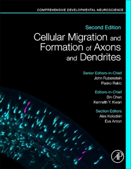Hardcover Cellular Migration and Formation of Axons and Dendrites: Comprehensive Developmental Neuroscience Book