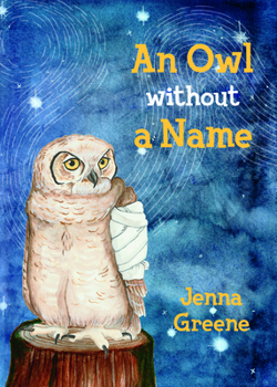 Paperback An Owl Without a Name Book