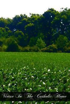 Paperback Virtue In The Catholic Home Book