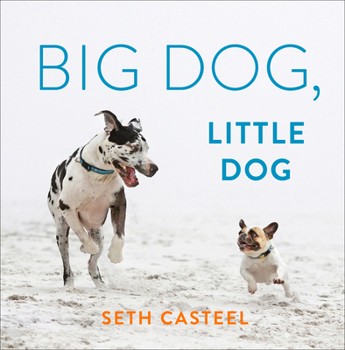 Hardcover Big Dog, Little Dog Book