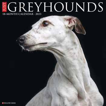 Calendar Just Greyhounds 2023 Wall Calendar Book