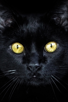 CUTE  PRECIOUS  BLACK CAT LOVERS WRITING & SKETCHING NOTEBOOK JOURNAL: Cute Journal & Blank Notebook with CAT related Theme | School, College & Work ... Cat Lovers (UNIQUE CAT GIFTS FOR CAT LOVERS)