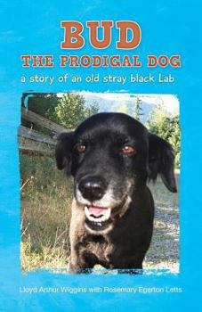 Paperback Bud The Prodigal Dog: a story of an old stray black Lab Book