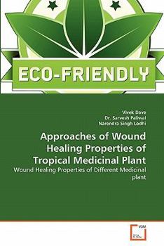 Paperback Approaches of Wound Healing Properties of Tropical Medicinal Plant Book