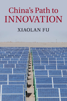 Paperback China's Path to Innovation Book