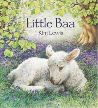Board book Little Baa Book