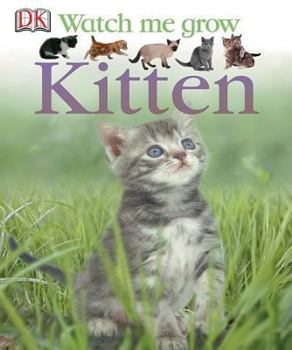 Kitten - Book  of the DK Watch me grow