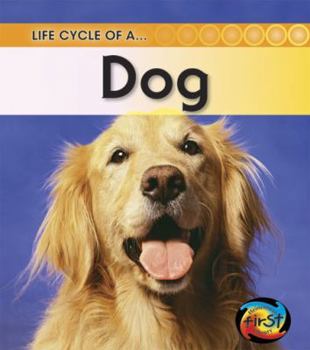 Dog (Life Cycle of a) - Book  of the Life Cycle of a...