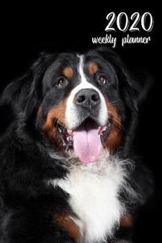 2020 Weekly Planner: 6" x 9" in. Bernese Mountain Dog 52 Weekly  Calendar Schedule Organizer Appointment Journal Notebook for dog fans