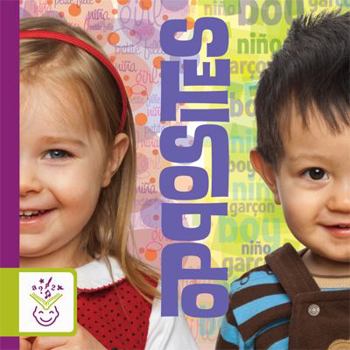 Board book Opposites Book