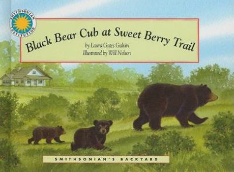 Hardcover Black Bear Cub at Sweet Berry Trail Book