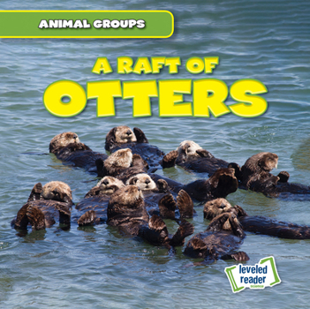 Paperback A Raft of Otters Book